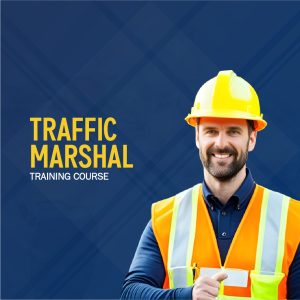 Traffic Marshal